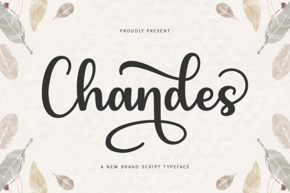 Chandes Font Review: Elevating Campaign Visuals
