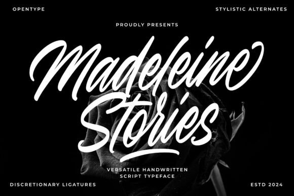 Madeleine Stories: The Script Typeface for Scroll-Stopping Content