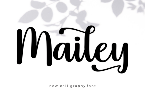 Mailey Font: Bold Script for Scroll-Stopping Design