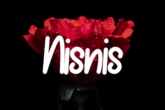 Nisnis: The Script Font That Elevates Campaign Visuals