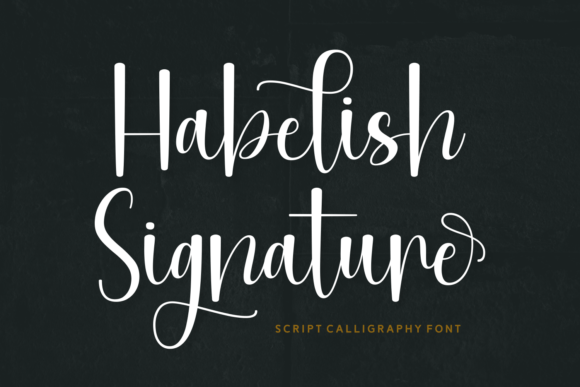 Reviewing Habelish Signature for Real Design Work