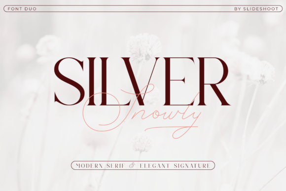 Silver Snowly: A Versatile Serif and Script Typeface for Branding