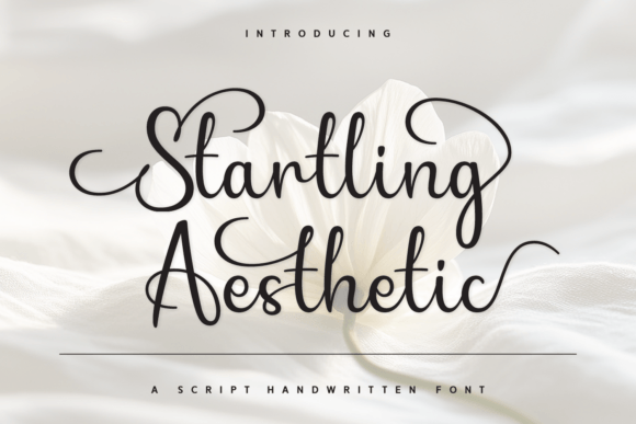 Startling Aesthetic: The Script Font That Elevates Campaigns